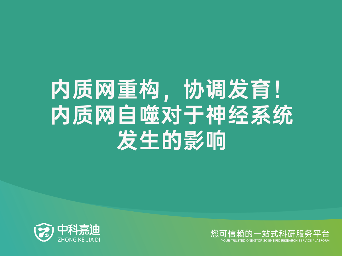 http://xinedns.cn/uploads/20240713/132a4eb82720e89061550919c65f9834.png