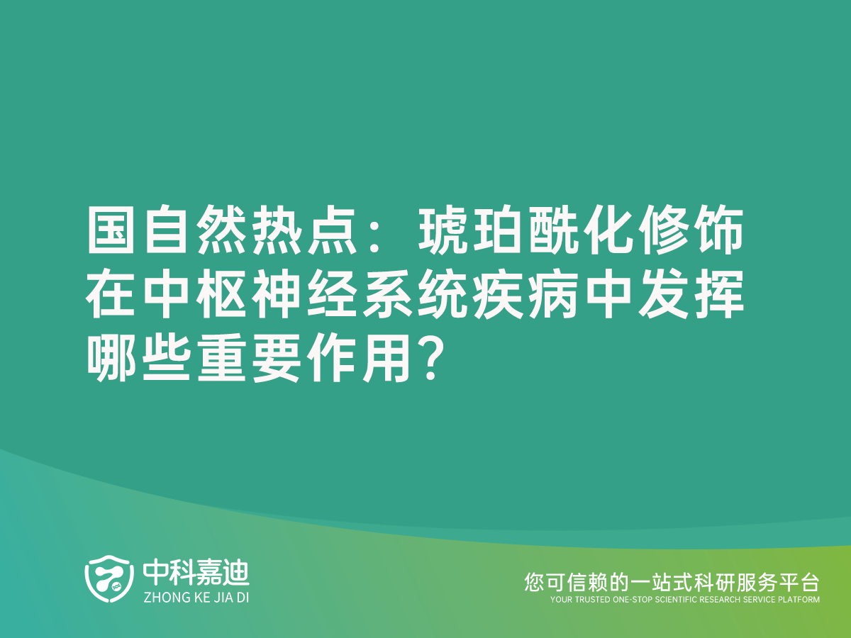 http://xinedns.cn/uploads/20240713/75015b762c764a3219a306e64ef03b59.png