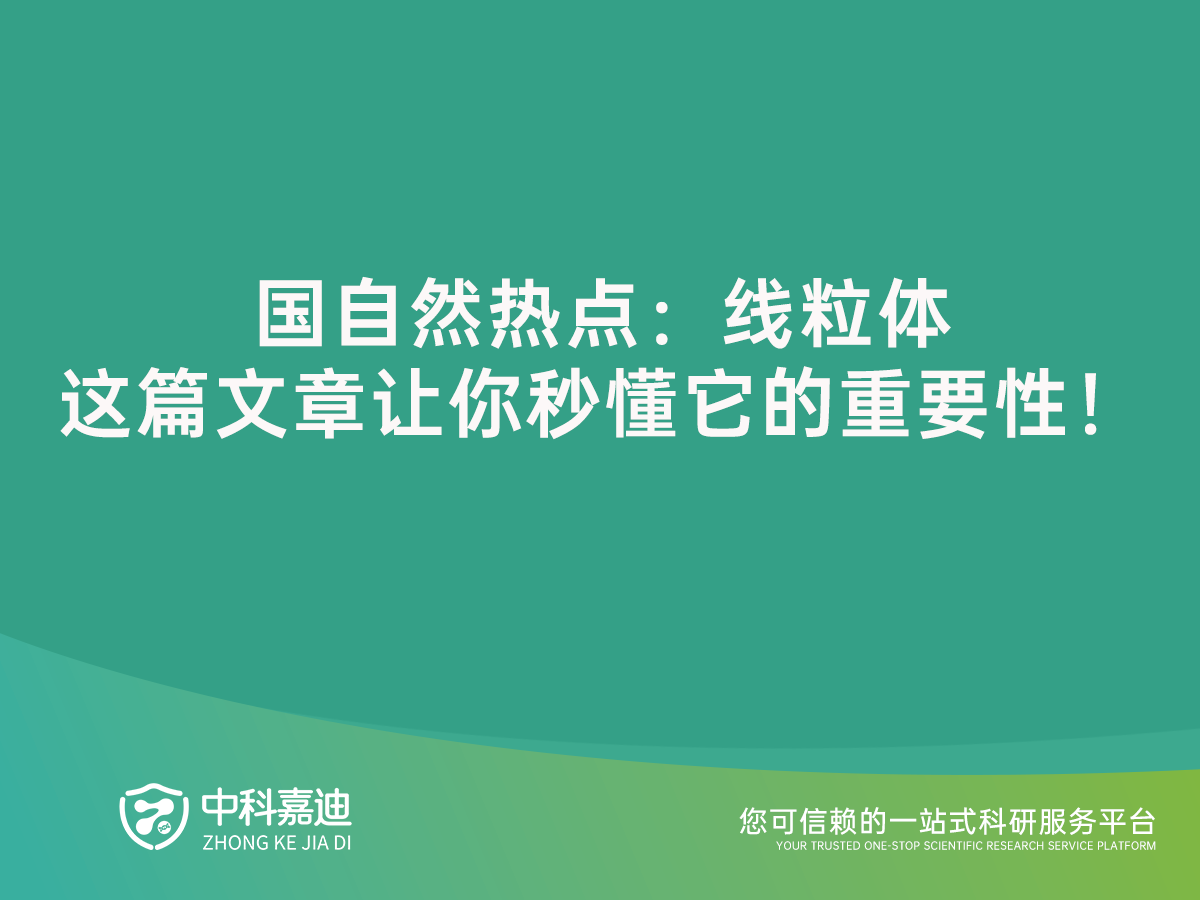 http://xinedns.cn/uploads/20240713/78d61a8ea0927cb1110faa6b79a4c2f8.png