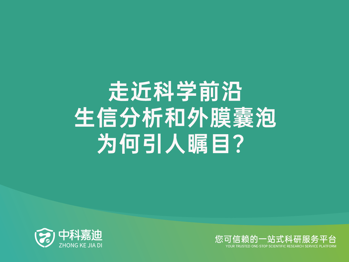 http://xinedns.cn/uploads/20240713/eba8f7ffa0b3a644af92965d0340476f.png