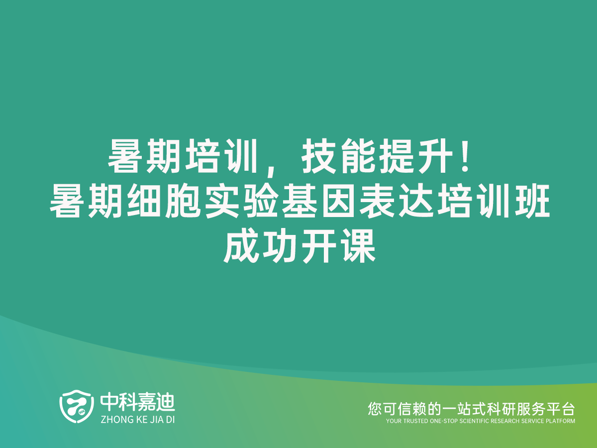 http://xinedns.cn/uploads/20240726/a6d1fdc9e0922d4a3e31b8b09489d345.png